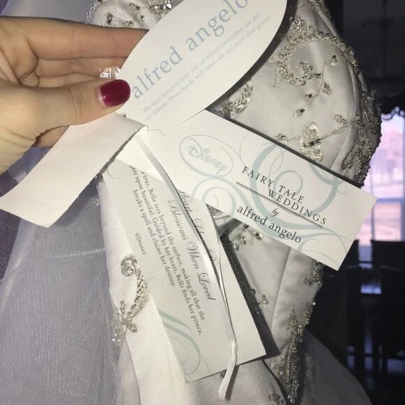 2014 Alfred Angelo "Belle" Wedding dress - Picture 4 of 4